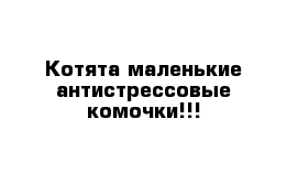 Котята-маленькие антистрессовые комочки!!!